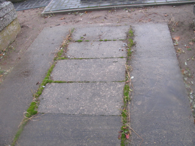 Zofia Gołębiewska 1954 Żelechów - Grobonet - Wyszukiwarka osób pochowanych