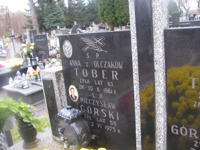 Anna Tober Żelechów - Grobonet - Wyszukiwarka osób pochowanych