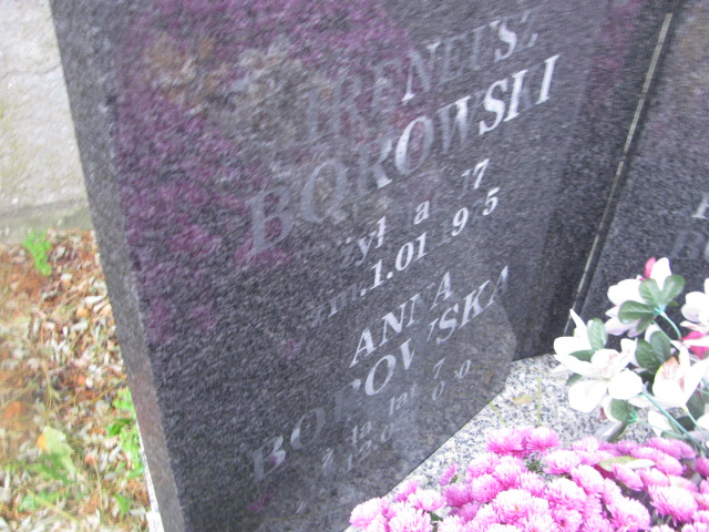 Ireneusz Borowski Żelechów - Grobonet - Wyszukiwarka osób pochowanych