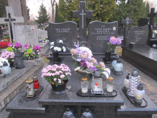 Grób Mieczysław Zagóra