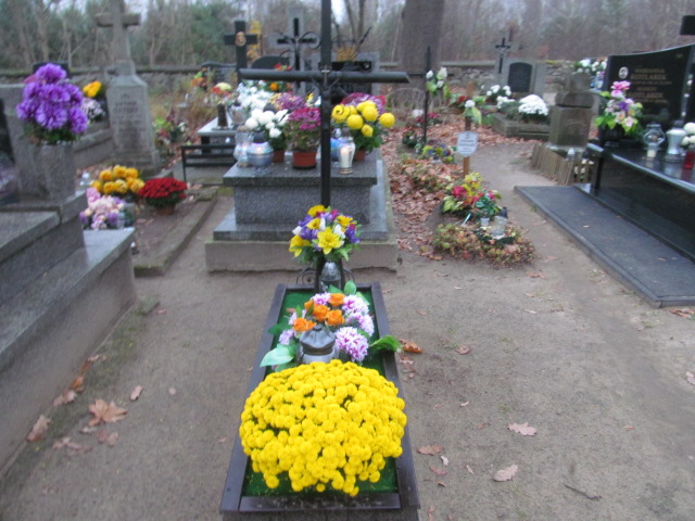 Krystyna Kolarczyk 1950 Żelechów - Grobonet - Wyszukiwarka osób pochowanych